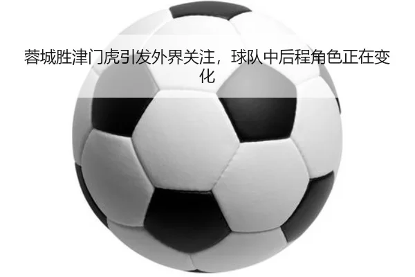 蓉城胜津门虎引发外界关注，球队中后程角色正在变化